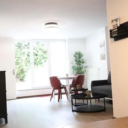 公寓 Fantastically Located On The Edge Of The Forest With A Small Garden 开姆尼茨
